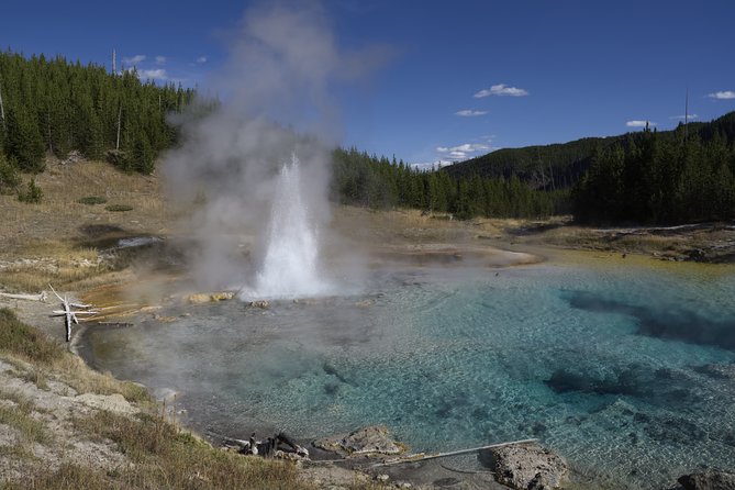Yellowstone Full Day Private Tour - Traveler Photos and Reviews