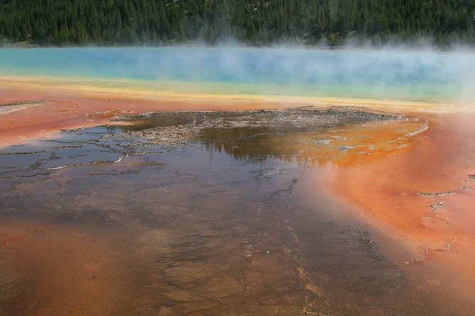 Yellowstone National Park - Full-Day Lower Loop Tour From Jackson - Tour Guides and Customer Reviews