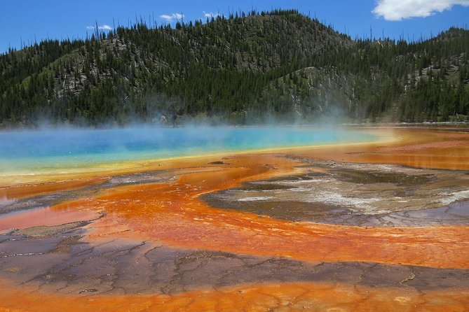 Yellowstone National Park - Full-Day Lower Loop Tour From West Yellowstone - Guide Shanes Exceptional Performance