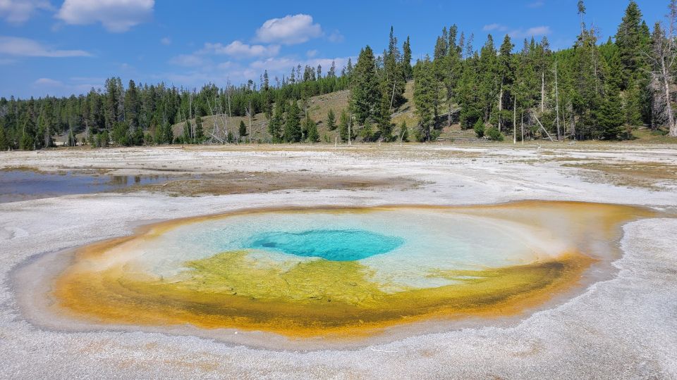Yellowstone National Park Private Day Tour - Inclusions and Booking Information