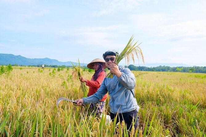 Yogyakarta Small-Group Countryside Cycle Tour With Snacks - Additional Information and Directions