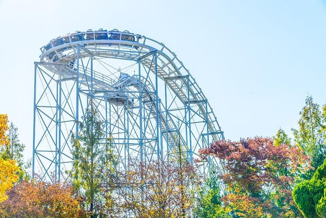 Yongin Small-Group Everland Resort Transfers With Ticket - Miscellaneous Details