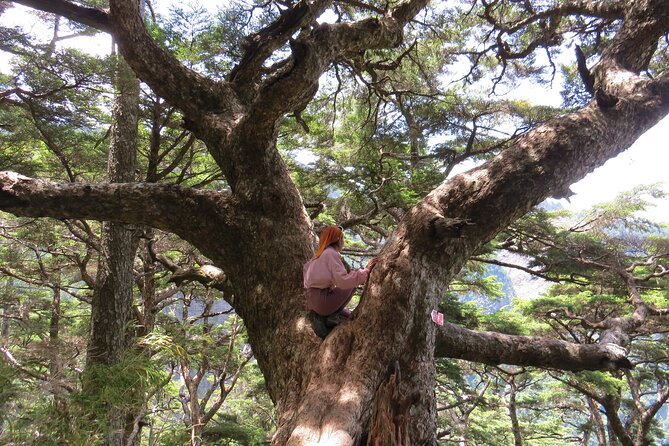 Yushan Main Peak Two Days and Two Nights Taiwans Highest Peak - Safety Precautions and Recommendations