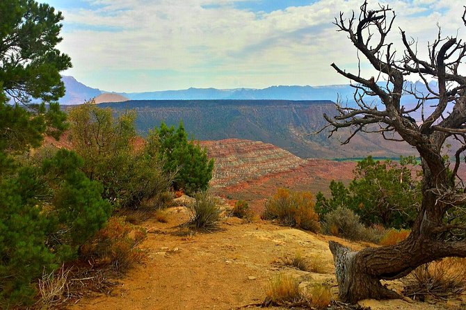 Zion Jeep Tour Premium Package - Afternoon Tour - Scenic Views and Geological Wonders