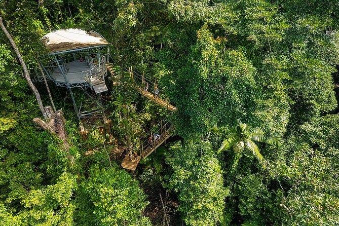 Ziplining Cape Tribulation With Treetops Adventures - Sum Up