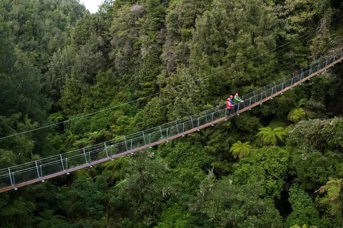 Ziplining Forest Experience - The Ultimate Canopy Tour Rotorua - Forest Scenery Enhancements