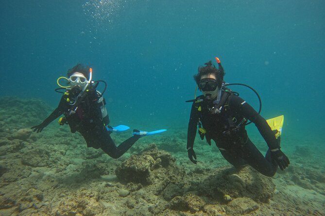 5 Hour Beginners Diving Course Experience in Amami Island - Key Points