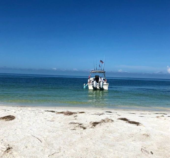 5-Hour Egmont Key Tour in St. Pete - Key Points