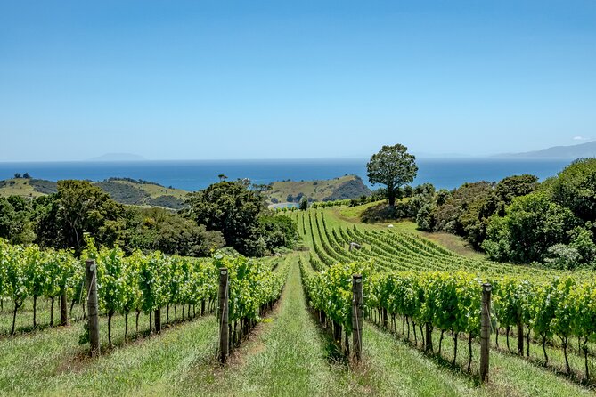 5 or 7 Hour Far End of Waiheke Scenic Wine Tour in Electric Vans - Key Points