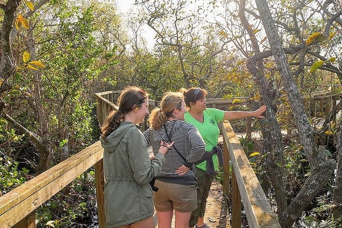 1-Hour Air Boat Ride and Nature Walk With Naturalist in Everglades National Park - Traveler Information
