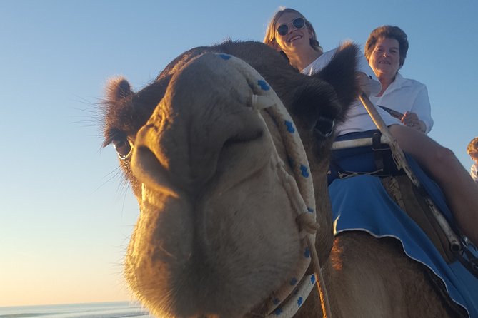 1 Hour Broome Sunset Camel Tour - Weight Restrictions and Regulations