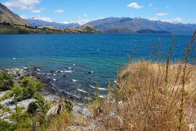 1-Hour Ruby Island Cruise and Walk From Wanaka - Cancellation Policy Details