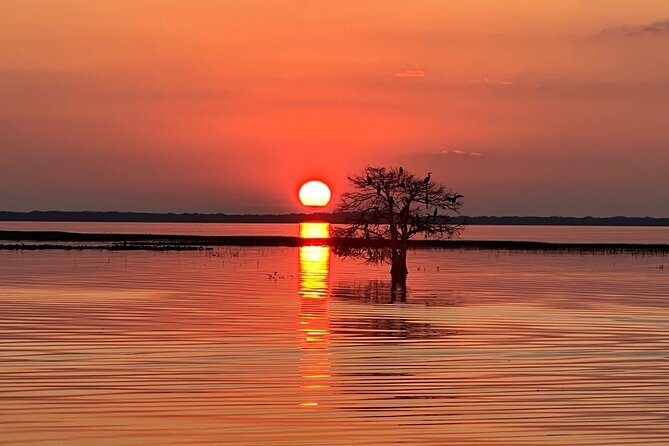 1-Hour Sunset Airboat Ride Near Orlando - Common questions