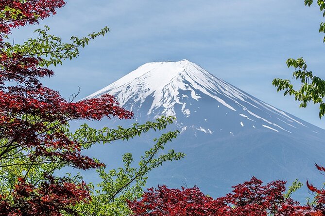 10 Days In-depth Discover Japan Deluxe Tour - Day 6: Osaka City Tour