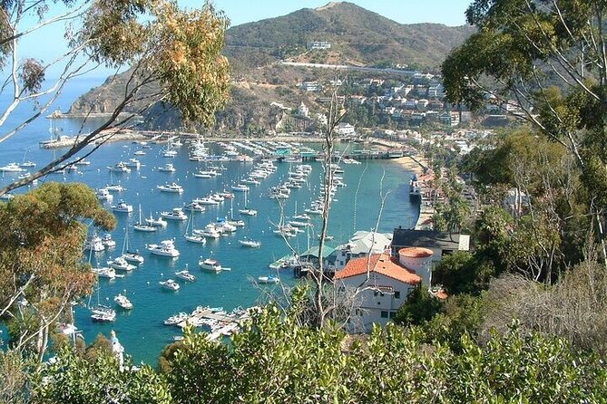 15 Minute Semi-Submarine Tour of Catalina Island From Avalon - Dry Observation Experience