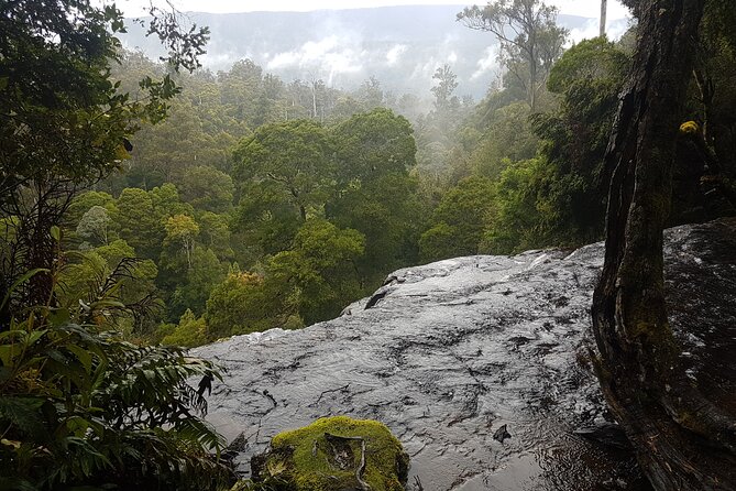 2 Day Cradle Mountain Tour - Common questions