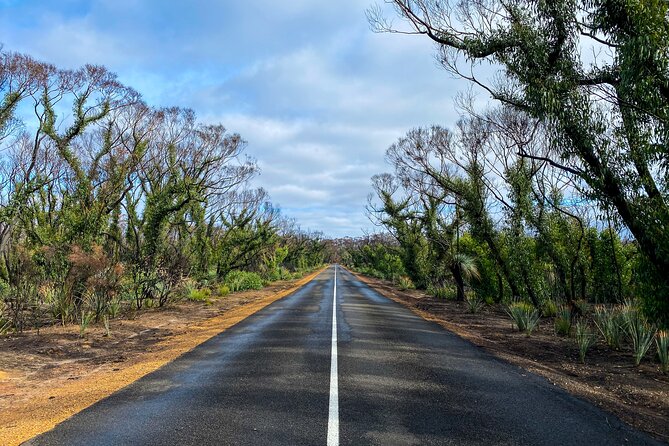 2 Day Ultimate Kangaroo Island With Return Ferry - Booking Information