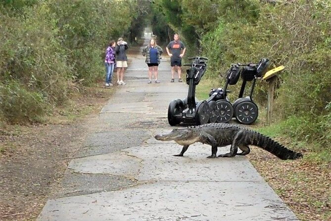 2-Hour Guided Segway Tour of Huntington Beach State Park in Myrtle Beach - Customer Experience