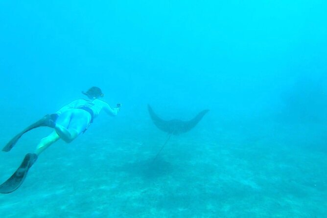 2-Hour Guided Snorkel Tour of Phil Foster Park, Blue Heron Bridge - Weather Contingency Plan