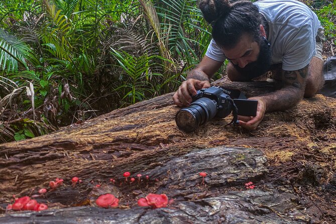 2-Hour Mushroom Photography Activity in Cairns Botanic Gardens - Equipment Provided