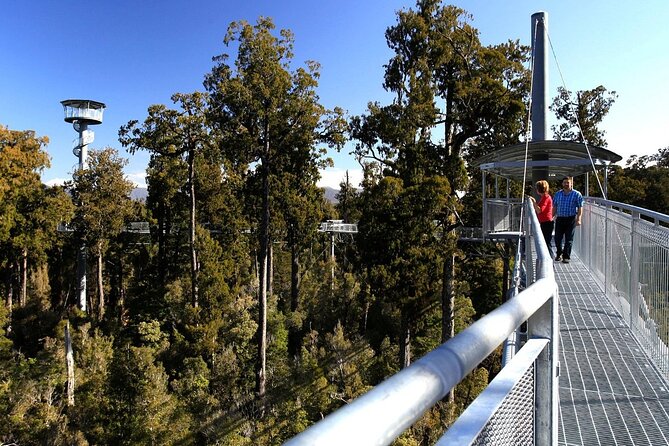 2-Hour Tower Zipline and Walkway Combo Private Guided Activity - Common questions