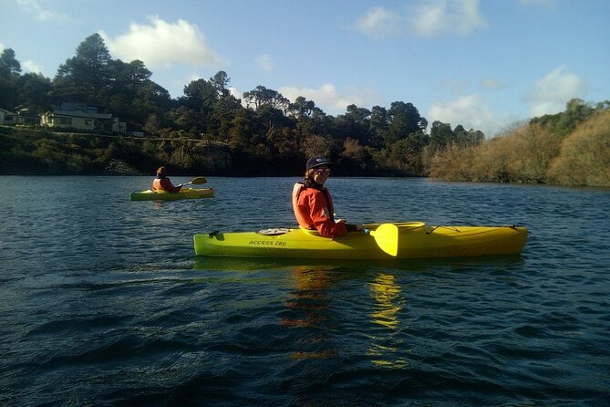 2-Hour Waikato River Guided Kayak Trip From Taupo - Tour Pricing and Availability