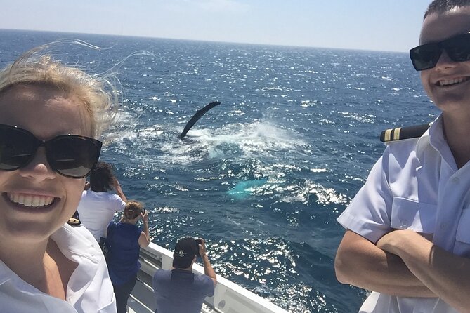 2 Hour Whale Watching Experience Departing Hillarys Boat Harbour - Sum Up