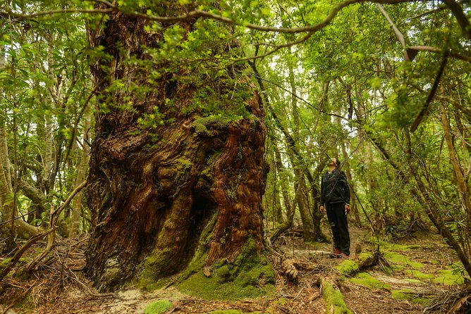 3-Day Southwest National Park Wilderness Camping Tour - Common questions