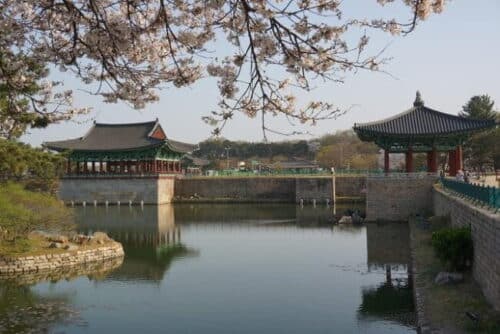 3-Days 2-Nights Gyeongju UNESCO Sites & Busan City [Private Tour From Seoul] - Host Responses to Reviews