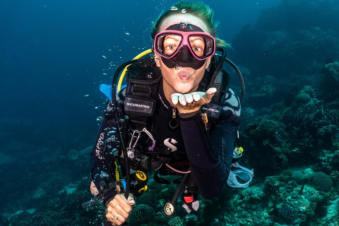 5 Fun Dives in Pemuteran (For Certified Divers) - Exploration in Menjangan Park - Dive Site: Secret Bay