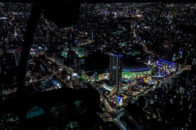 [50 Min] City Lights Helicoptertour: Tokyo and Yokohama Plan - Customer Reviews