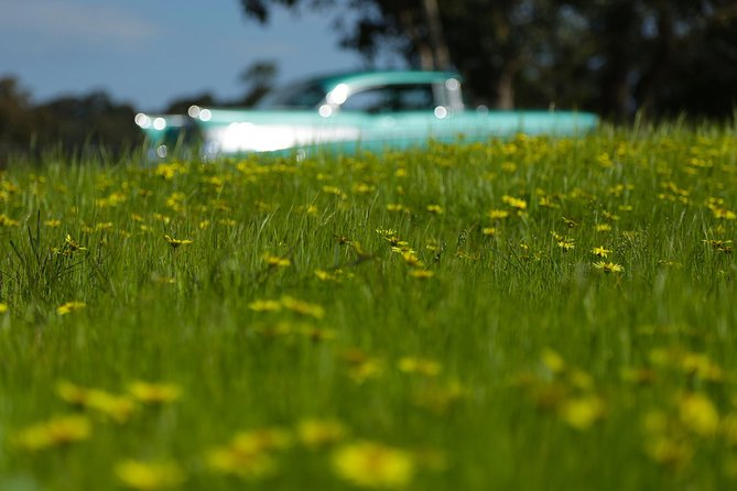 56 Chevrolet 6-Hour Yarra Valley Indulgence Classic Car Private Tour (4 Person) - Additional Terms