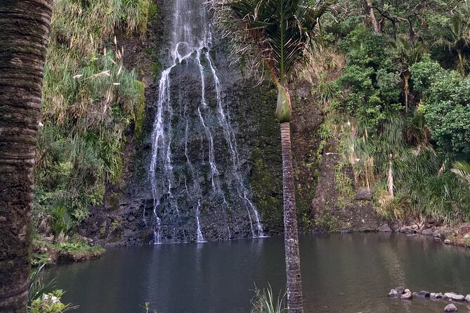 6 Hours Sightseeing Tour in Auckland - Sum Up