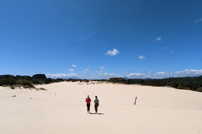 7-Day Super Value Tour of Tasmania: Explore Tasmanias West and East Coasts - Day 5: Coastal Treasures