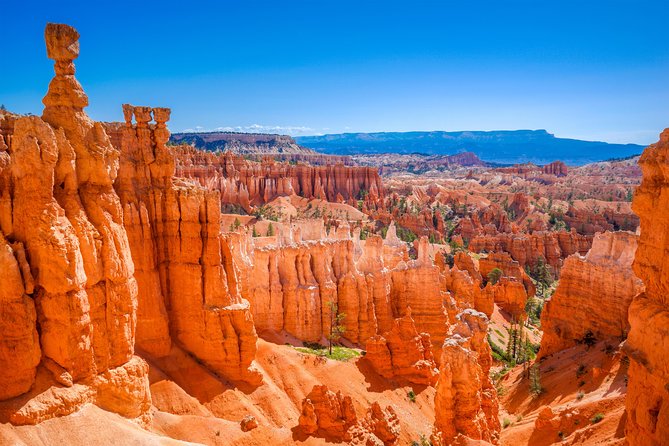 7-Day Zion, Bryce, Monument Valley, Arches and Grand Canyon Tour - Reviews and Testimonials