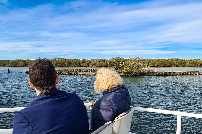 90 Minute Port River Dolphin & Ships Graveyard Cruise - Wildlife Sightings