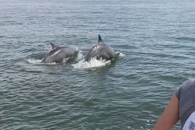 90-Minute Private Dolphin Tour in Hilton Head Island - Common questions