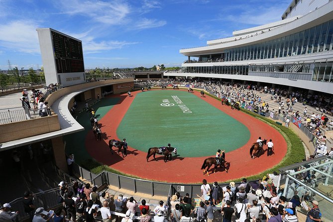 A Tour to Enjoy Japanese Official Gambling (Horse Racing, Bicycle Racing, Pachinko) - Secure Reservations and Availability