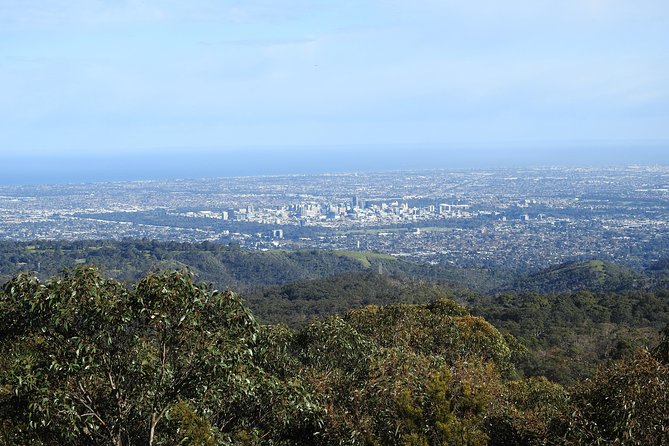 Adelaide Hills Private Day Tour - Photo Gallery Viewing