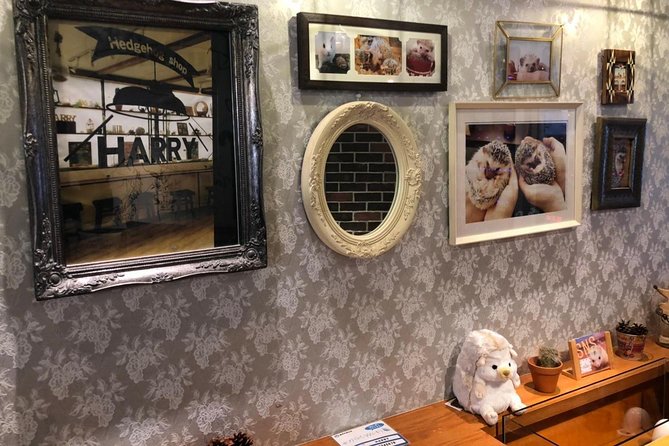 Admission to Hedgehog Cafe in Harajuku - Reviews and Ratings
