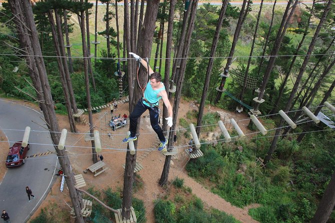 Adrenalin Forest Obstacle Course in the Bay of Plenty - Directions