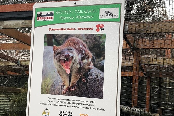 After Dark Tasmanian Devil Feeding Tour at Cradle Mountain - Booking Information