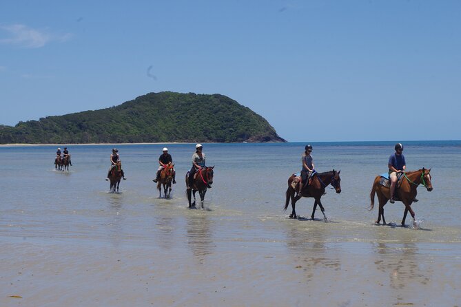 Afternoon Beach Horse Ride in Cape Tribulation - Common questions