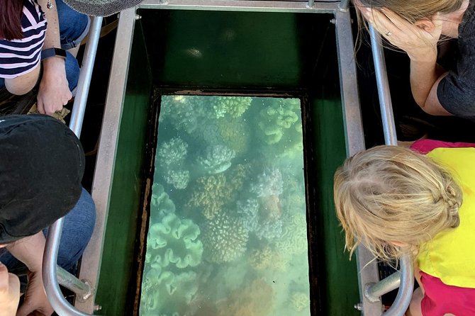 Airlie Beach Glass Bottom Boat Tour - Weather Contingency Plans