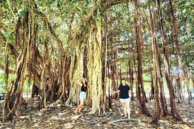 Airlie Beach Small-Group Bowen Beach Tour - Additional Details