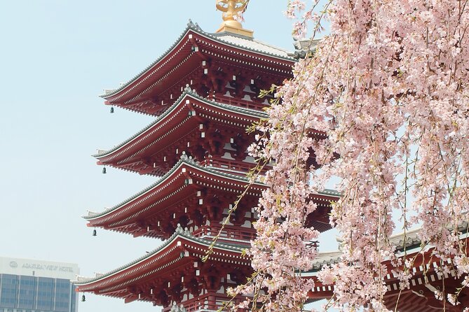 Airport Pick-Up or Drop-Off Service in Tokyo - Booking Process