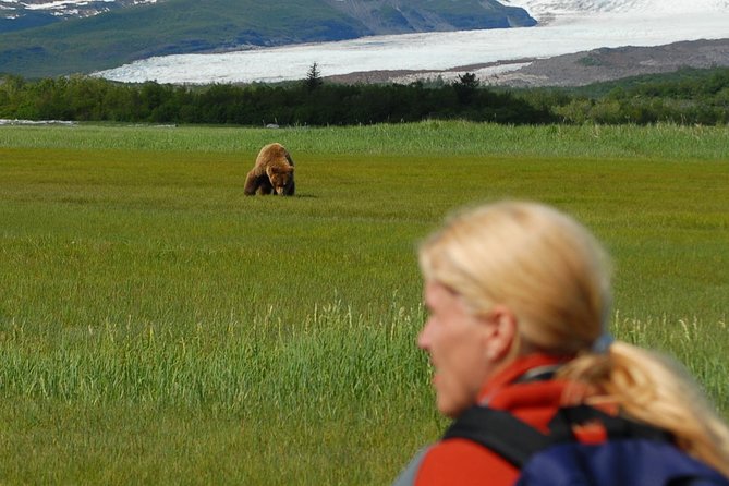 Alaska Bear-Viewing Day Trip From Homer - Sum Up