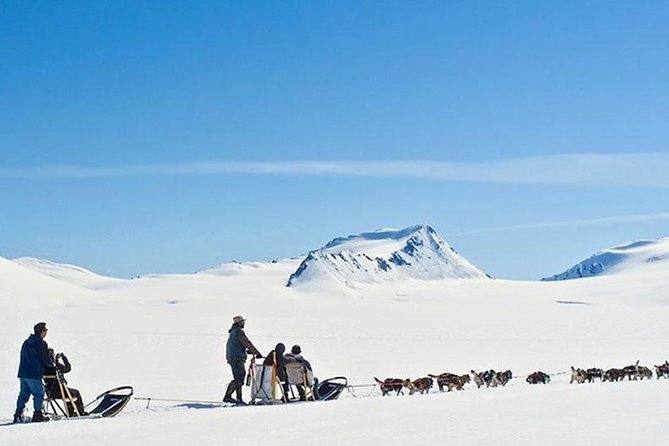 Alaska Helicopter and Glacier Dogsled Tour - ANCHORAGE AREA - Common questions