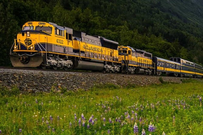 Alaska Railroad Anchorage to Denali One Way - Traveler Reviews and Ratings