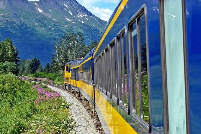Alaska Railroad Anchorage to Seward One Way - Sum Up